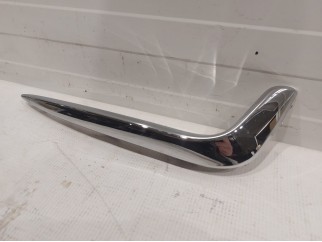 Fog Lamp Applique (Right)